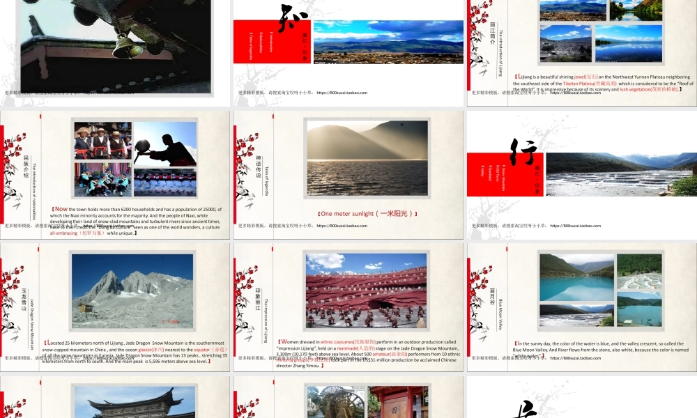 亮亮图文-模板28.pptx