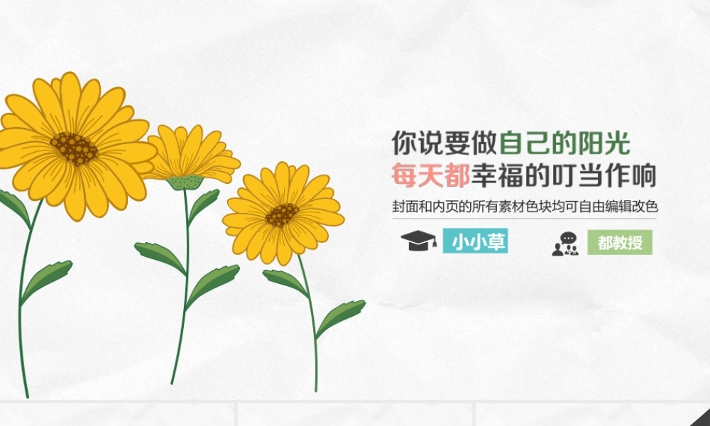 亮亮图文模板022.pptx