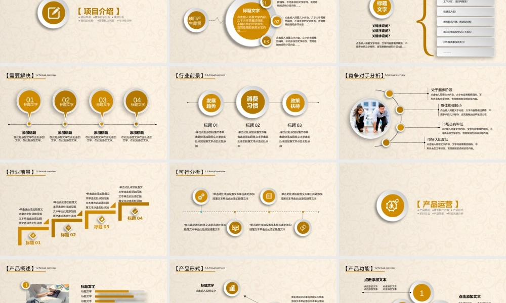 商业策划(1).pptx