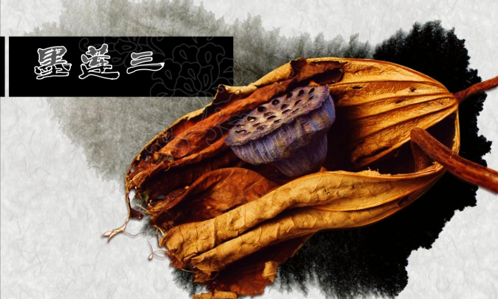 亮亮图文模板中国风97.ppt