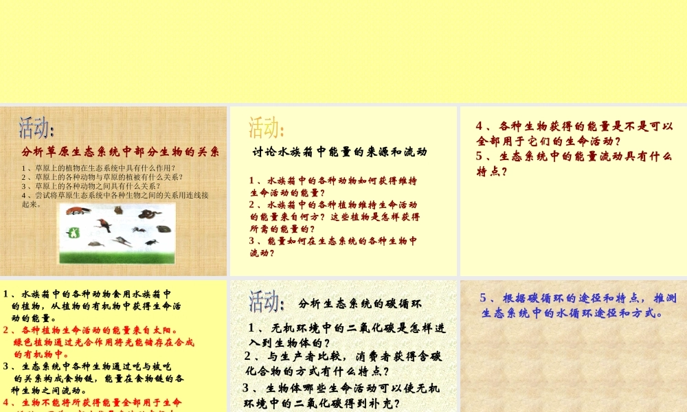 生态系统的结构和功能g36z9.ppt