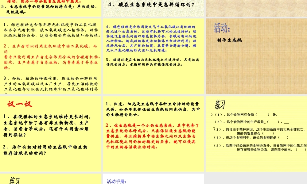 生态系统的结构和功能g36z9.ppt