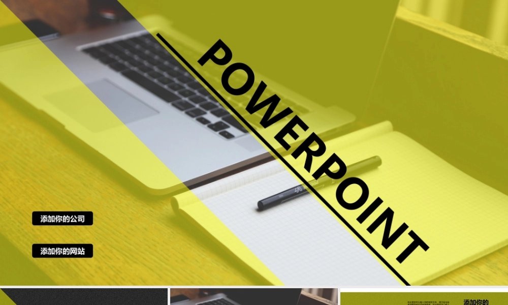 欧美风格(3).pptx