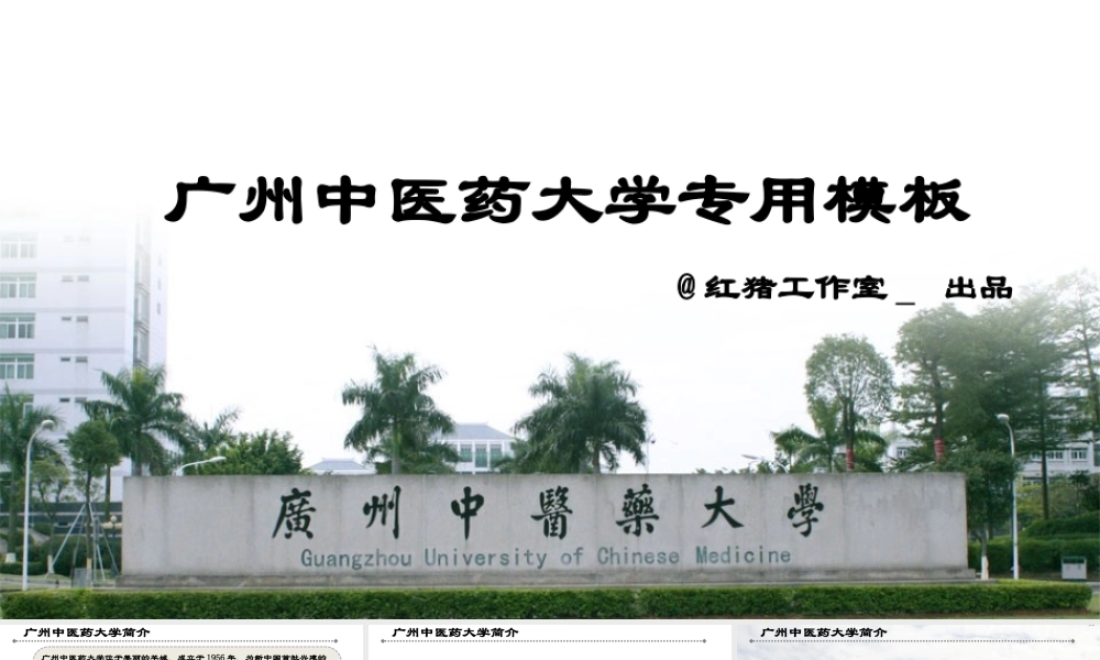 亮亮图文-医疗护士53.pptx