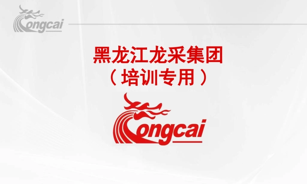 龙采集团PPT模板.ppt