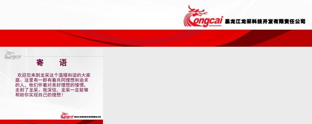 龙采集团PPT模板.ppt