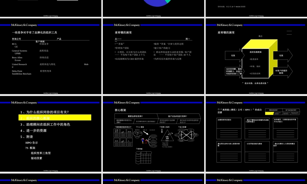 麦肯锡组织 概述与基本框架.ppt