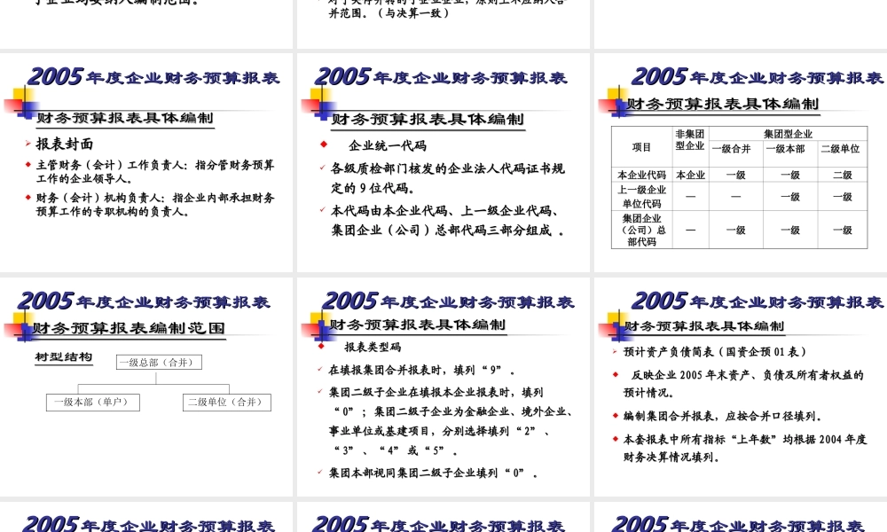 年度企业财务预算报表tey8l.ppt
