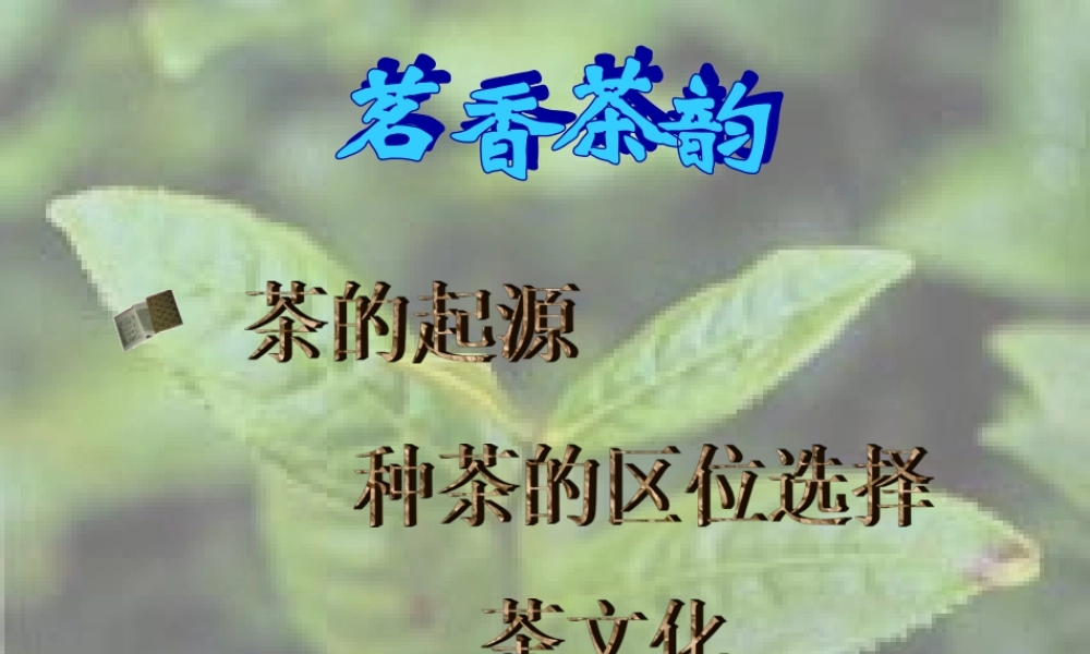 茗香茶韵.ppt
