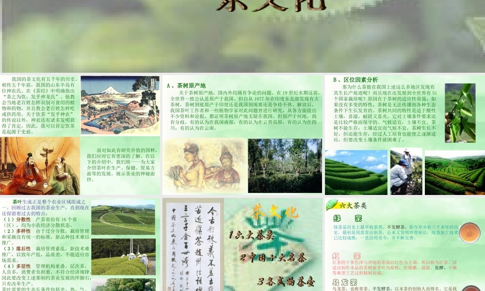 茗香茶韵.ppt