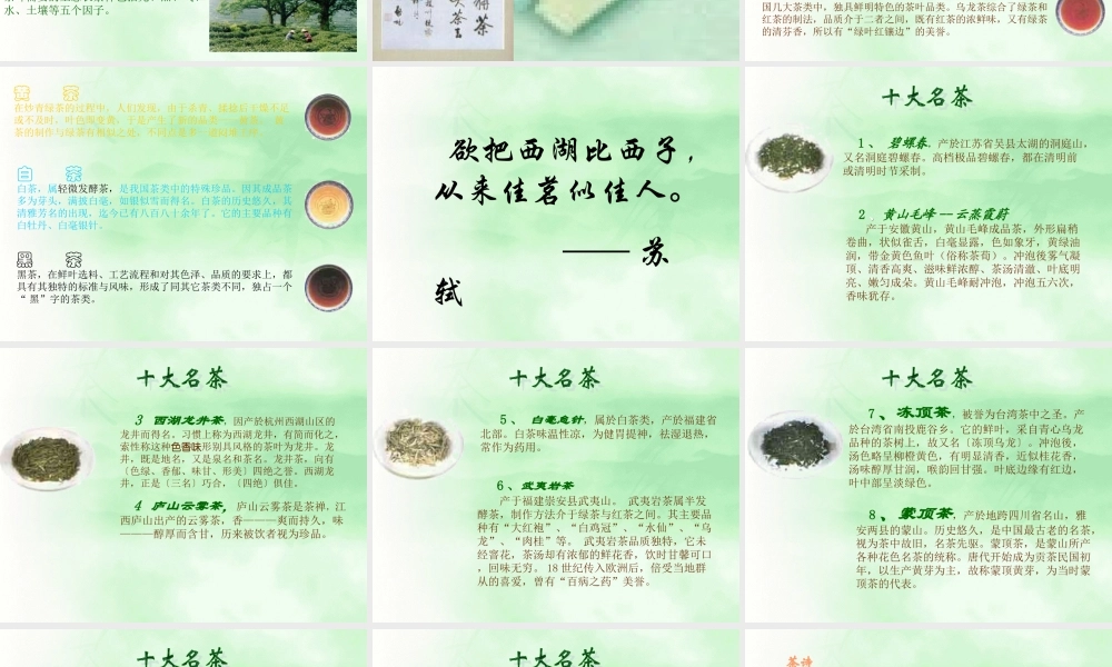 茗香茶韵.ppt
