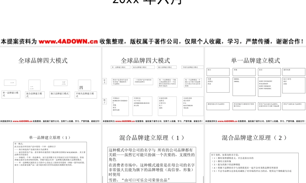 龙胜集团品牌整合策略及方向.ppt