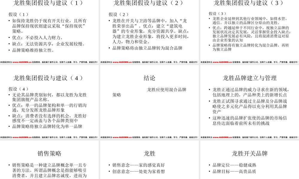 龙胜集团品牌整合策略及方向.ppt