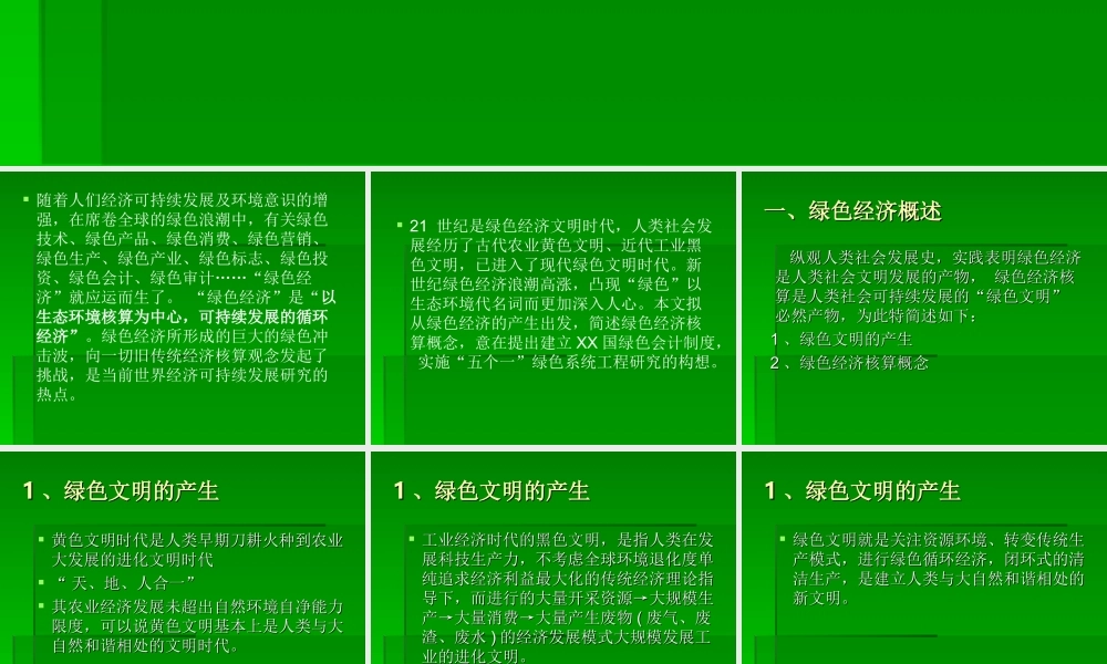 绿色经济与绿色会计的初探.ppt