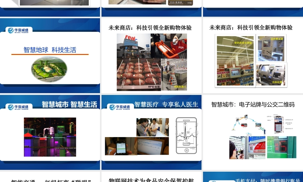 全球化背景下物联网创新应用qhg5m.ppt