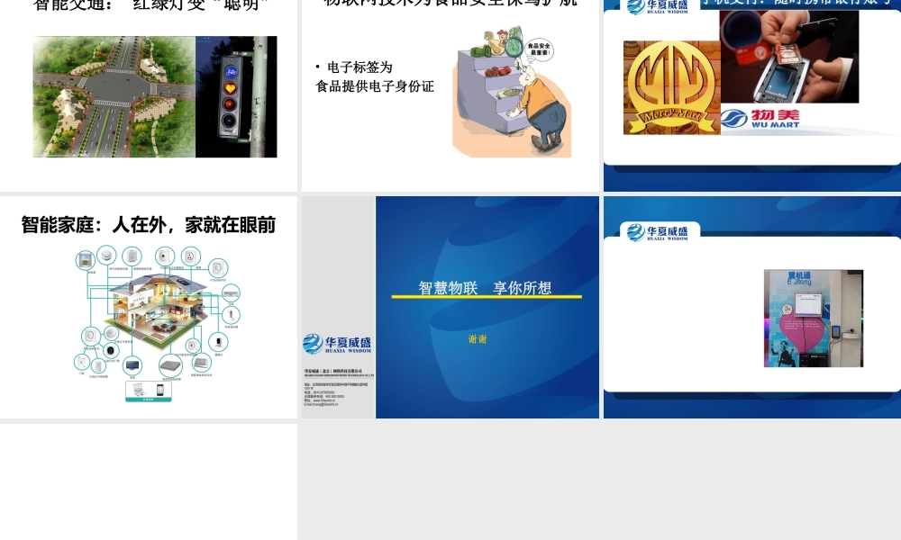 全球化背景下物联网创新应用qhg5m.ppt