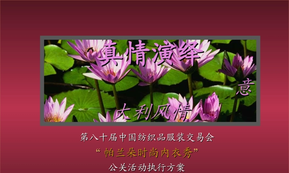 帕兰朵公关活动执行方案xr0w4.ppt