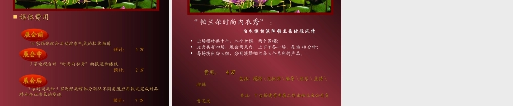 帕兰朵公关活动执行方案xr0w4.ppt