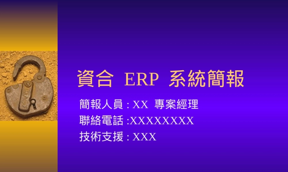企业资合ERP简报lneti.ppt