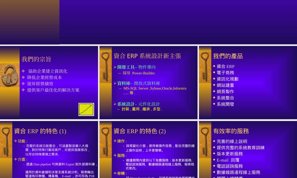 企业资合ERP简报lneti.ppt