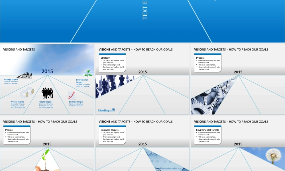 目标和愿景-slideshopPPT图表10张.pptx