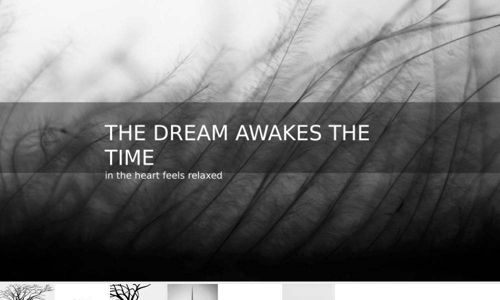 欧美风格(5).pptx