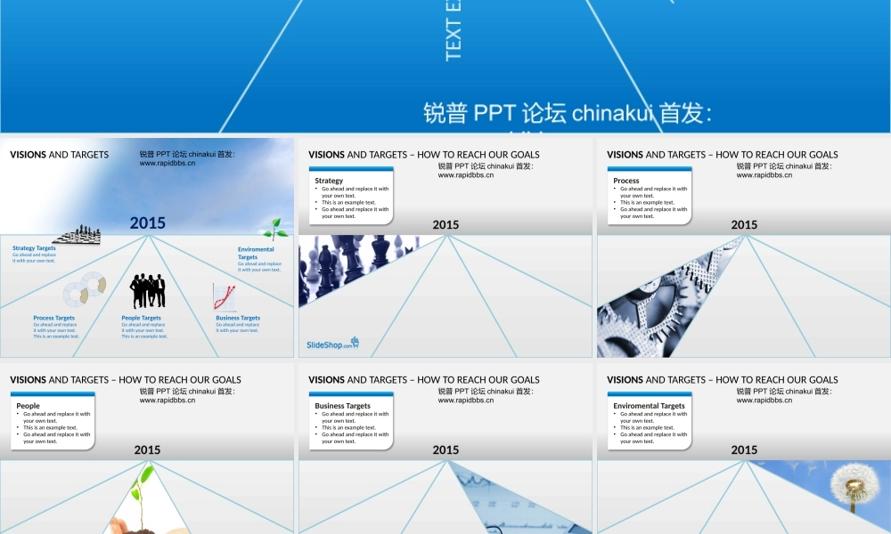 目标和愿景-slideshopPPT图表10张（锐普PPT论坛）.pptx