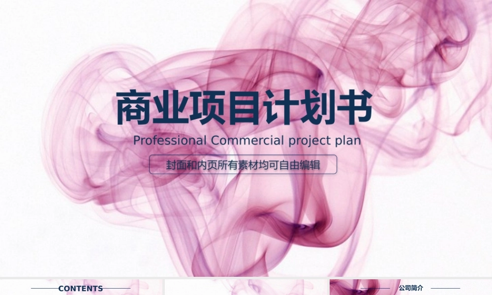 商业策划(2).pptx