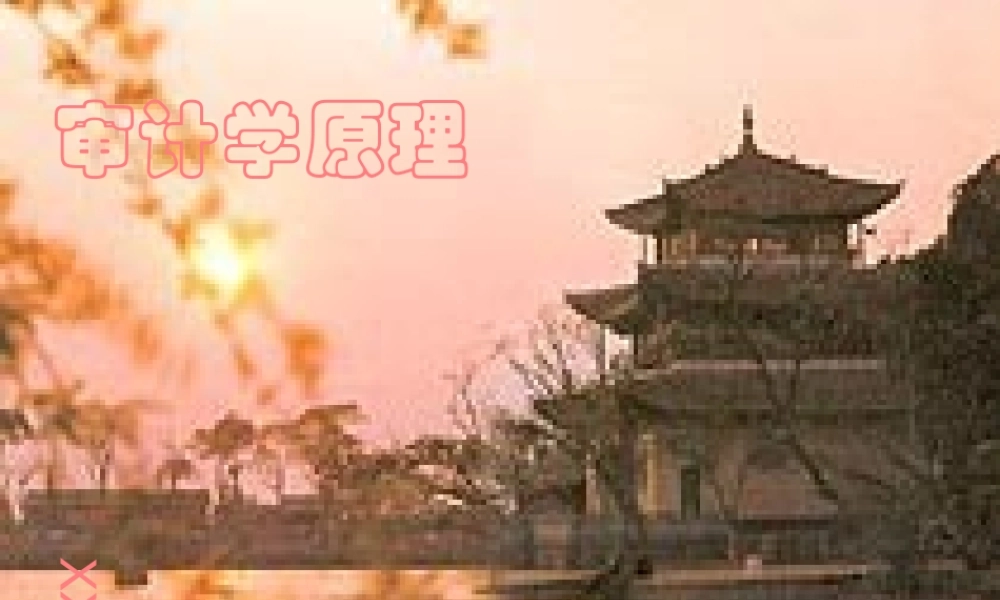 审计学原理4s8f2.ppt