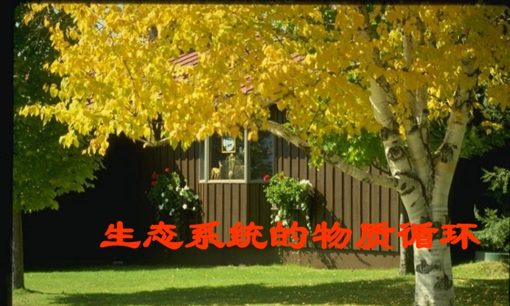 生态系统的物质循环lo7w3.ppt