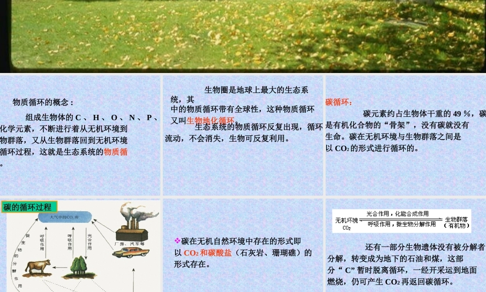生态系统的物质循环lo7w3.ppt