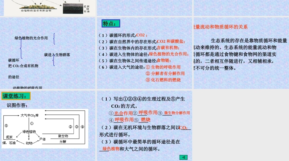 生态系统的物质循环lo7w3.ppt