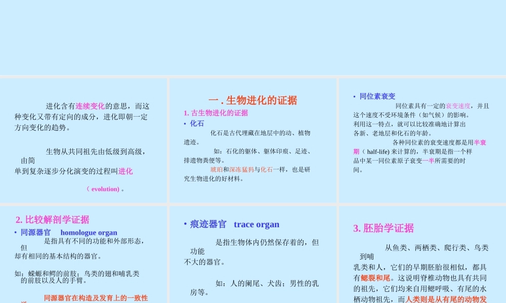 生物进化mtbag.ppt