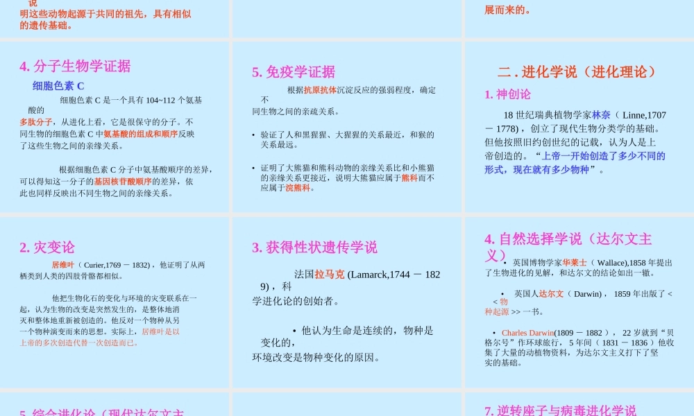 生物进化mtbag.ppt