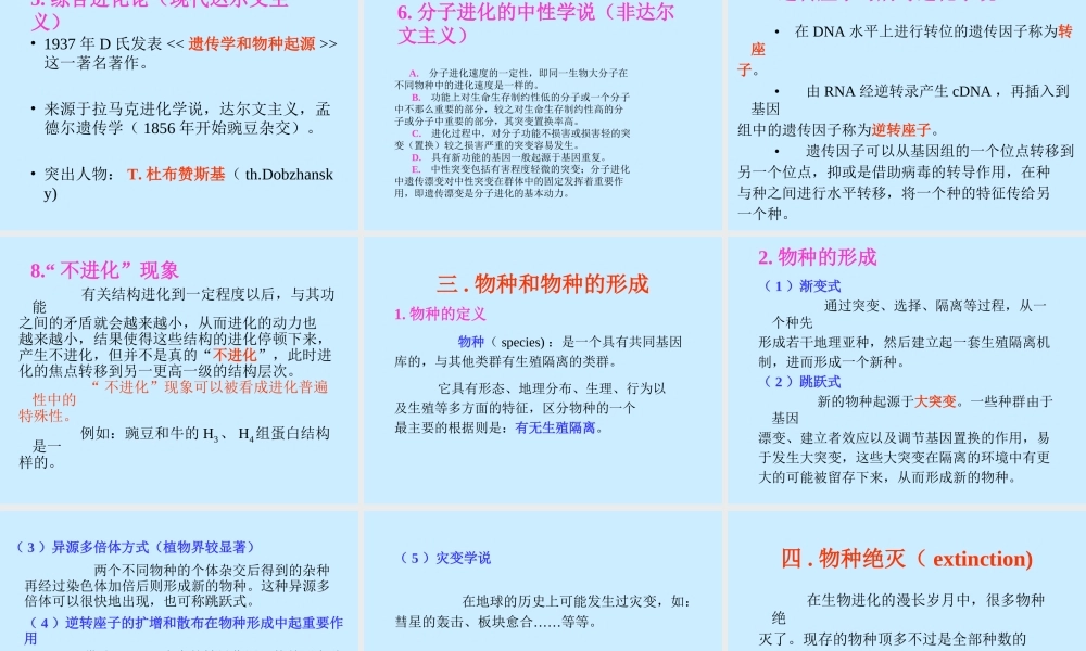 生物进化mtbag.ppt