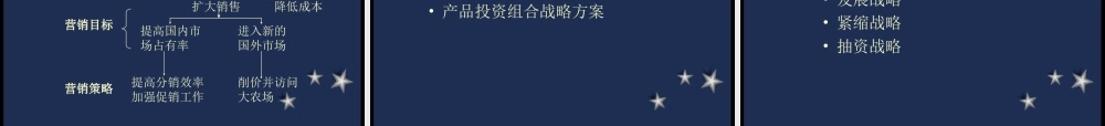 企业战略及营销管理过程3xbow.ppt