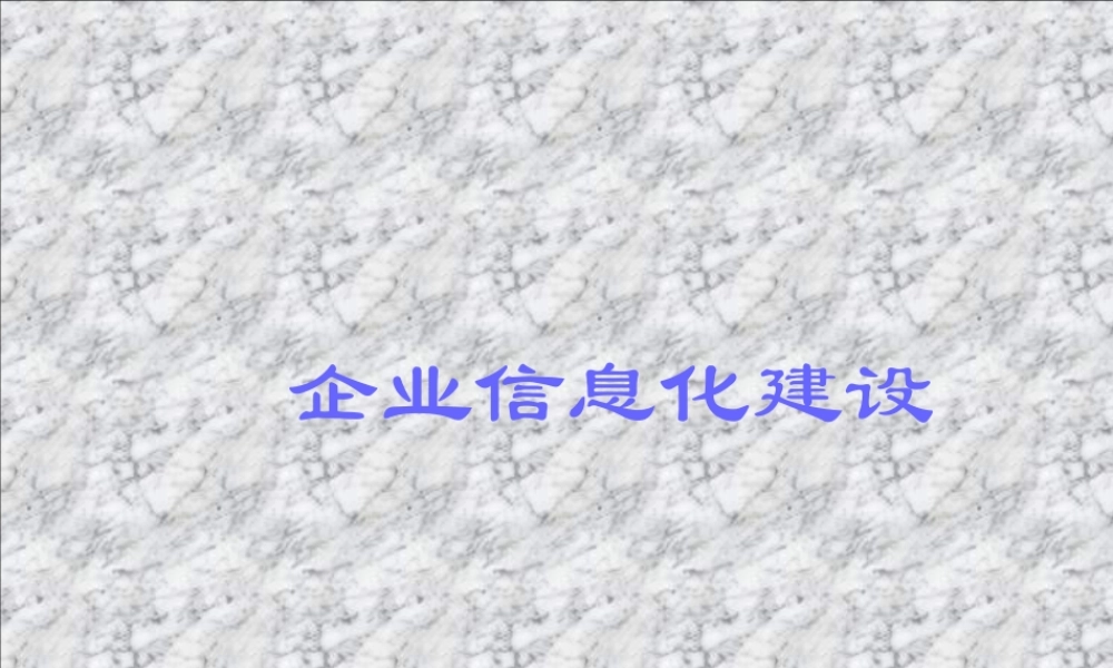 企业信息化建设pra7l.ppt