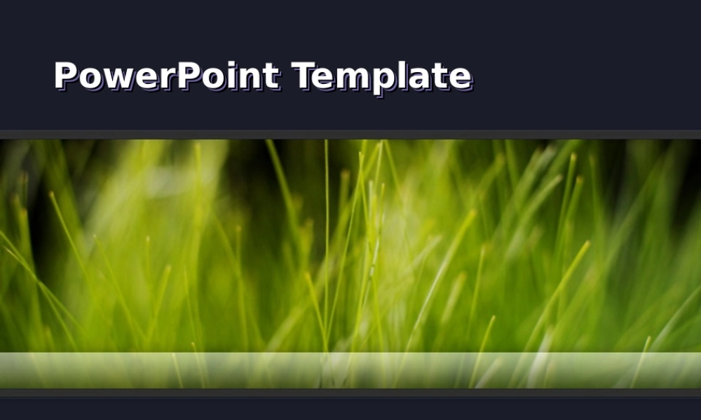 丫丫精饰 (36)b7pmf.ppt