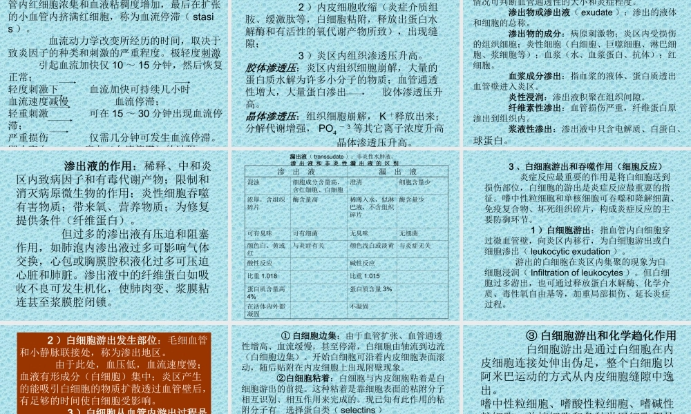 炎症的基本病理过程ja5cg.ppt