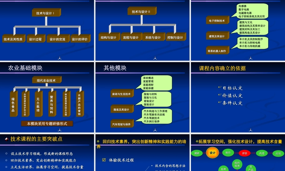 普通高中技术课程标准d2ymq.ppt