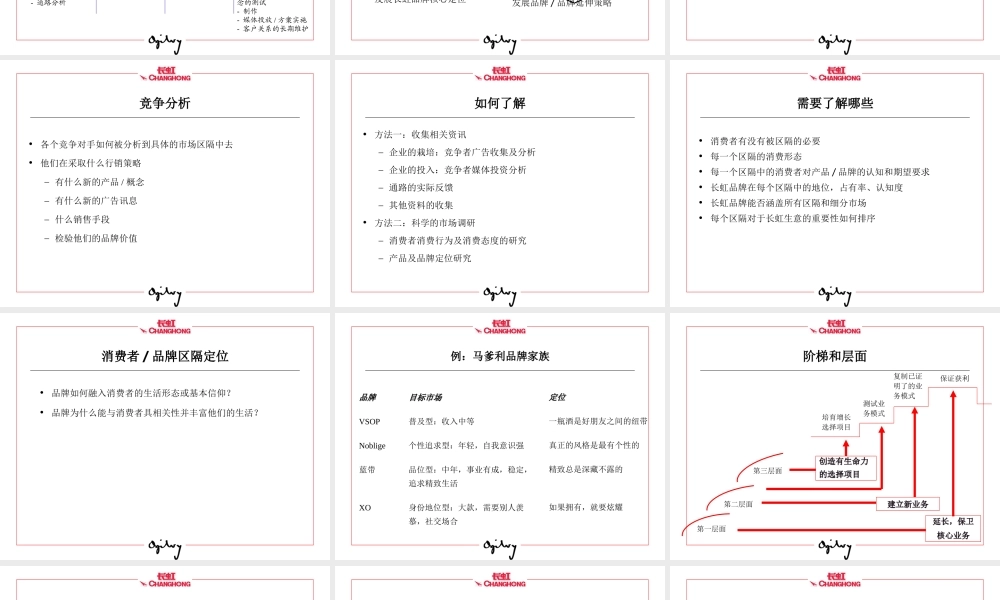 长虹品牌规划纲要.ppt