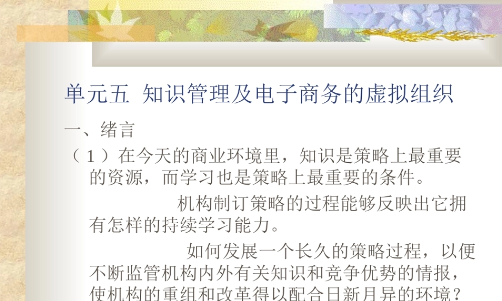 知识管理及电子商务的虚拟组织.ppt