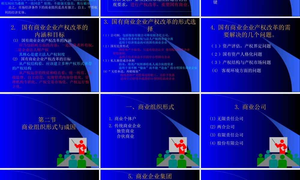 商业组织0zvdt.ppt