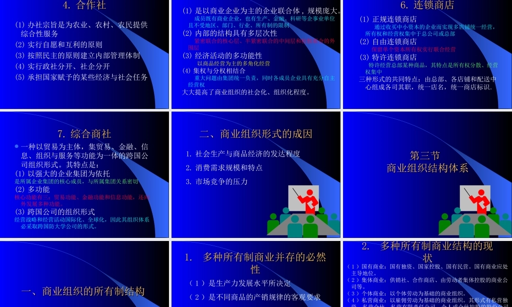 商业组织0zvdt.ppt