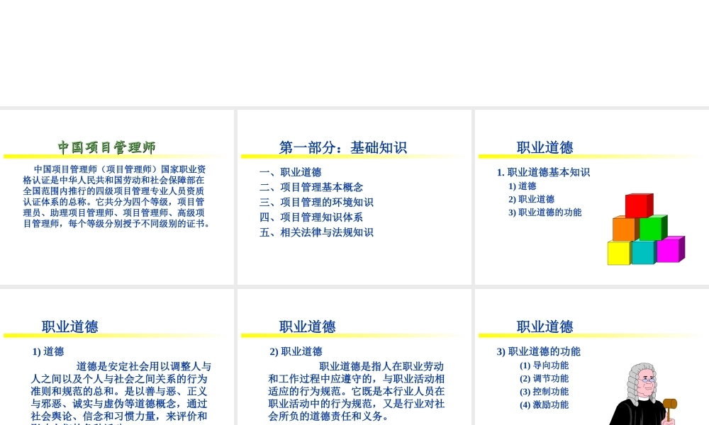 中国项目管理师（PMP）国家职业标准考前培训.ppt