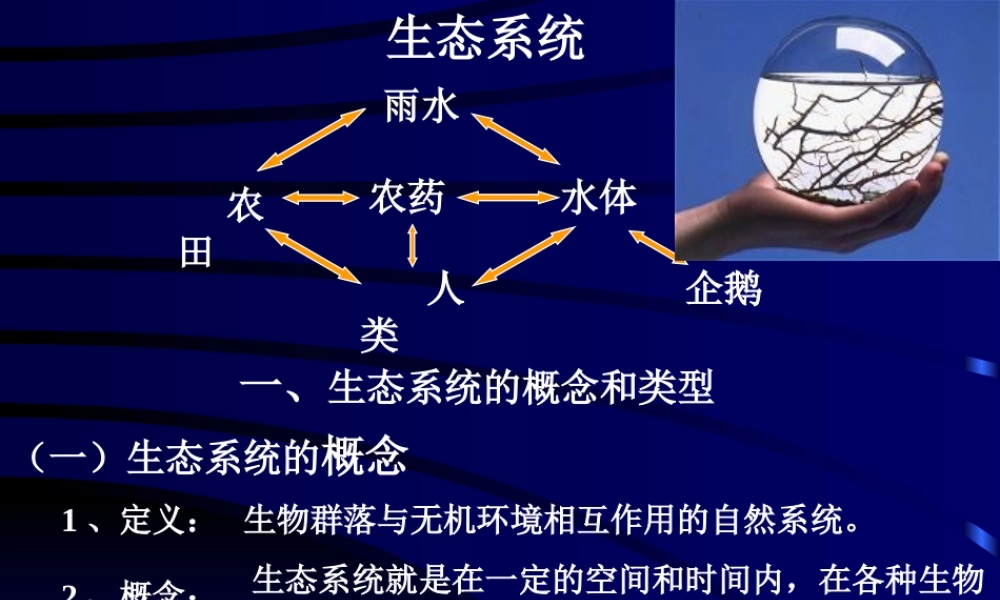 生态系统293coe.ppt