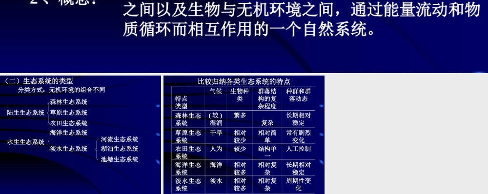 生态系统293coe.ppt