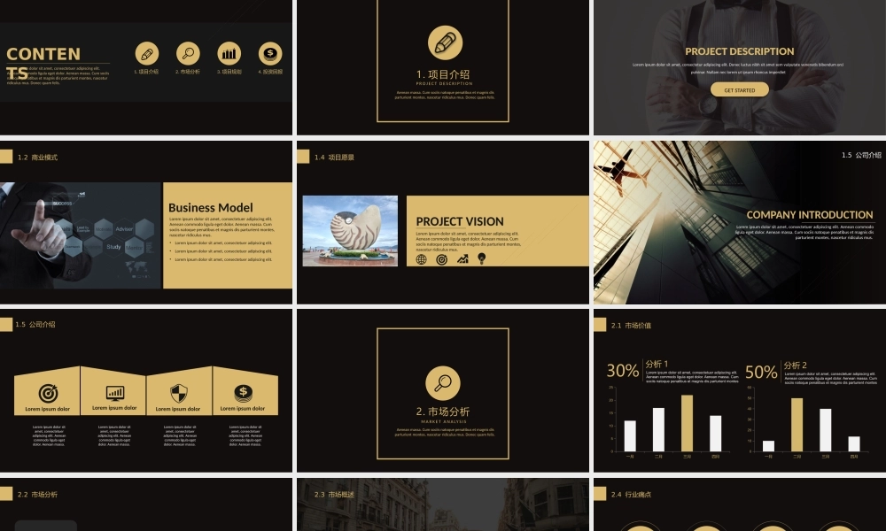 商业策划(74).pptx