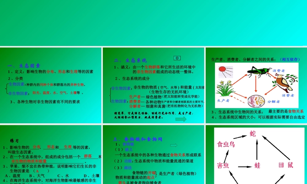 生态系统概念zv9fi.ppt