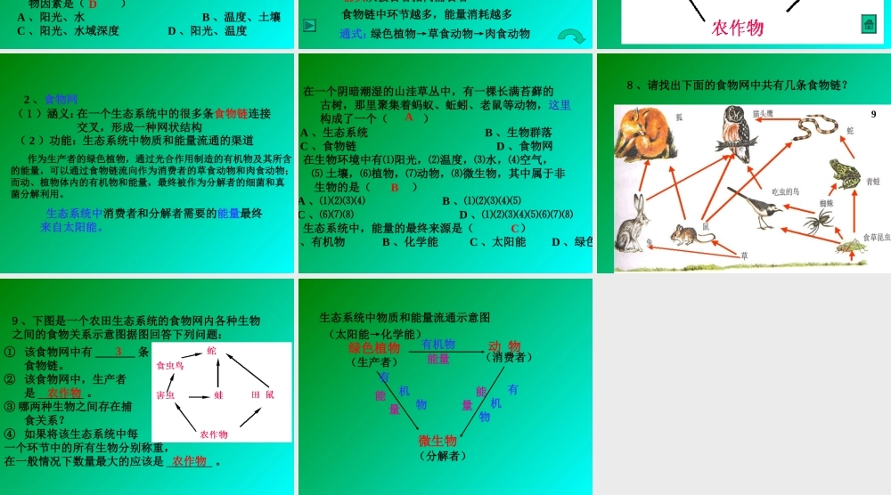 生态系统概念zv9fi.ppt
